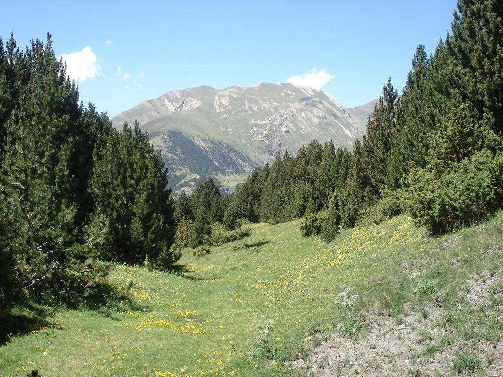 Вилла Xalet Les Avellanes - Hut 7335 Аринсал Экстерьер фото